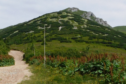 trasa terchova turistika1